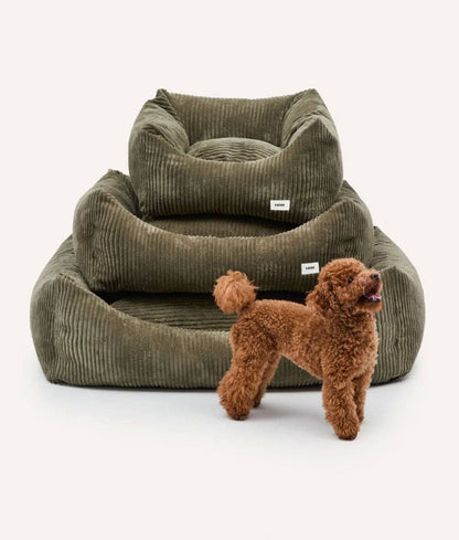 CAFIDE - Hundebett „Snozy“ – Cord