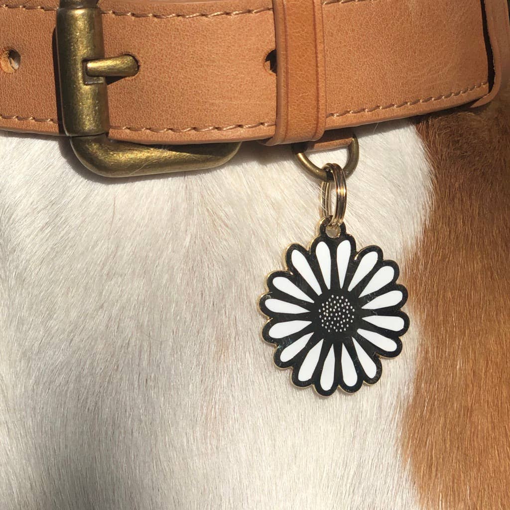 TWO TAILS PET COMPANY - Medaglietta identificativa Daisy