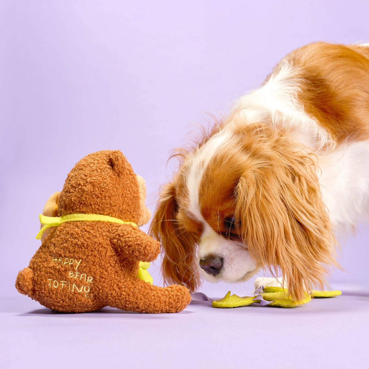 the furryfolks - Glücklicher Bär Tofino Nasenarbeits-Spielzeug - OSSO BLU