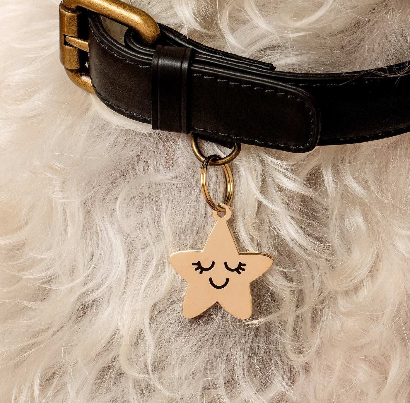 TWO TAILS PET COMPANY - Targhetta identificativa per animali domestici Smiling Star