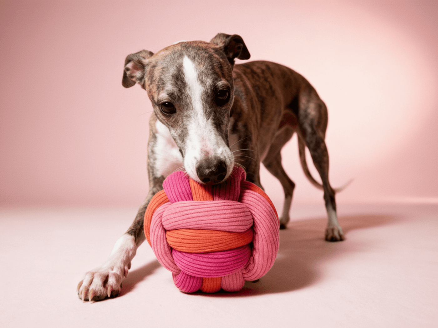 LUMIIES - THE TWISTY BALL Palla interattiva per cani