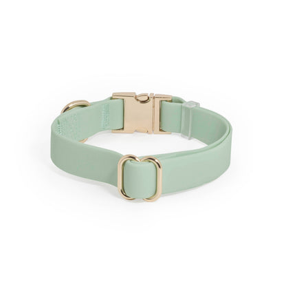 SUNNY TAILS - Wasserdichtes Hundehalsband - Pistaziengrün - OSSO BLU