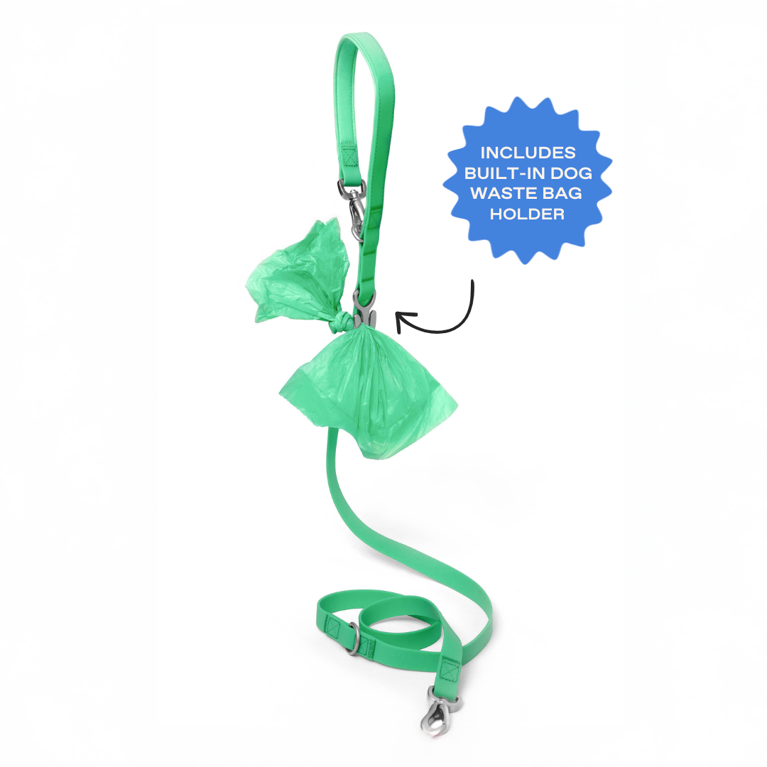 Springland Pets - Premium wasserdichte 1,5 m Hundeleine mit gepolstertem Griff (4er-Pack) - OSSO BLU