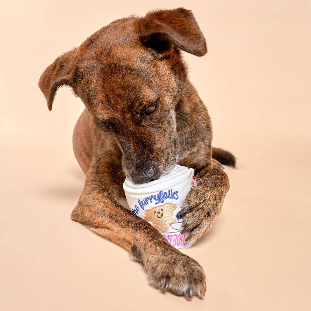 the furryfolks - Toilettenpapier-Nosework-Spielzeug für Hunde - OSSO BLU