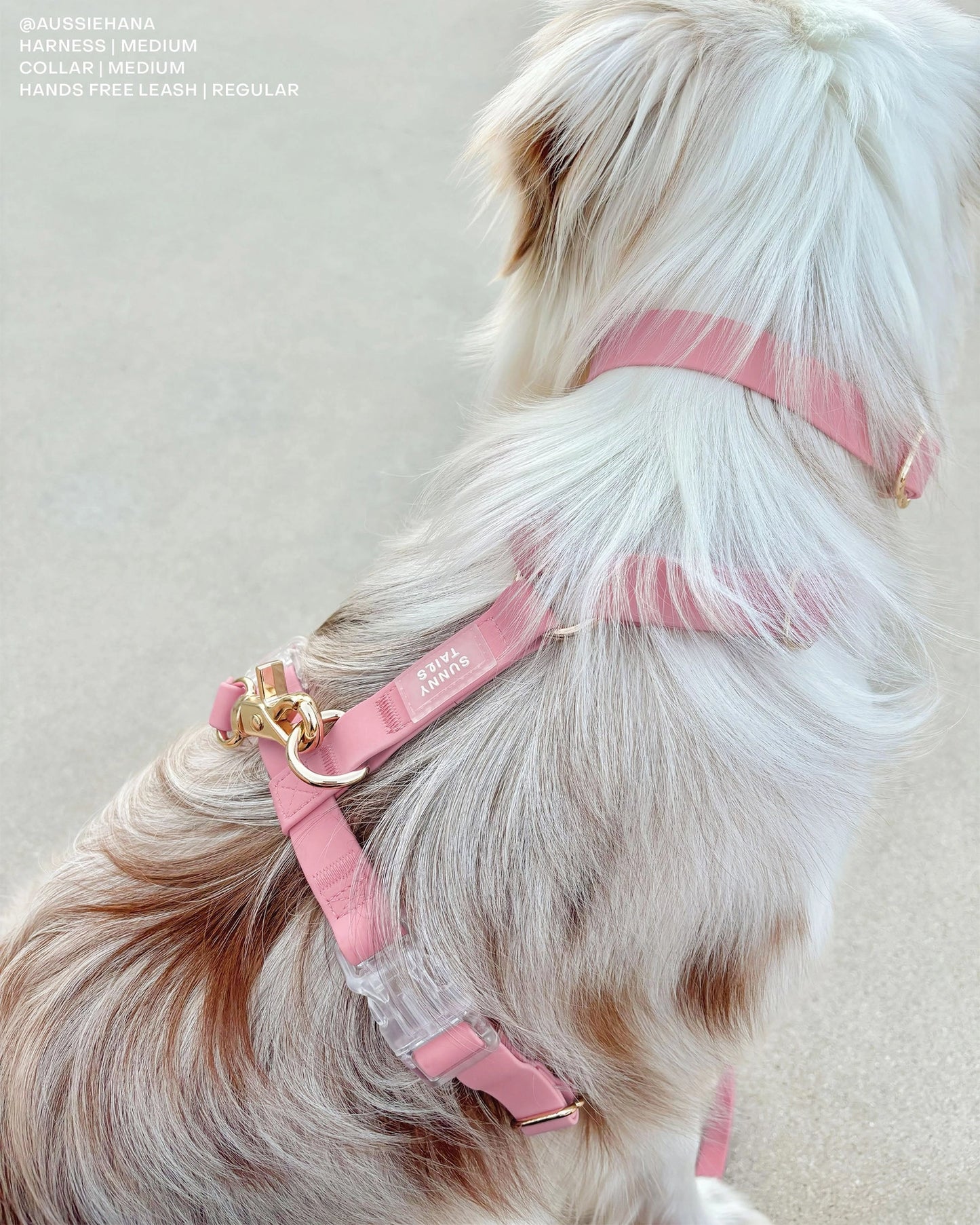 SUNNY TAILS - Wasserdichtes Hundegeschirr - Perfect Pink - OSSO BLU