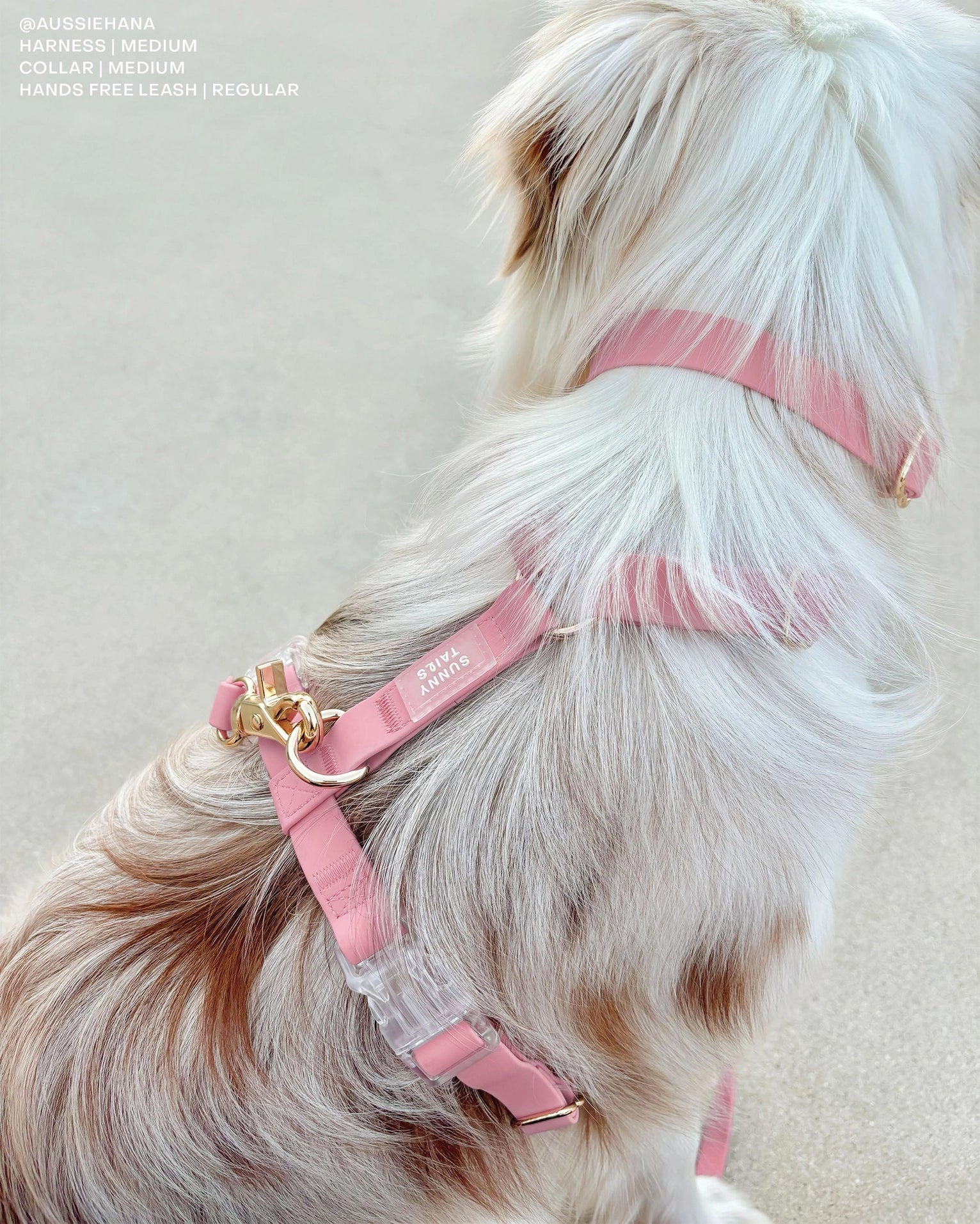 SUNNY TAILS - Wasserdichtes Hundegeschirr - Perfect Pink - OSSO BLU