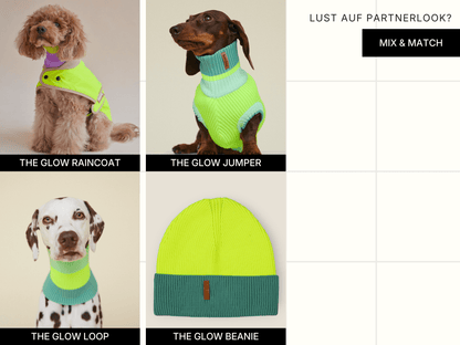 LUMIIES – Glow Loop 2.0 Hundeschal Neon Matcha