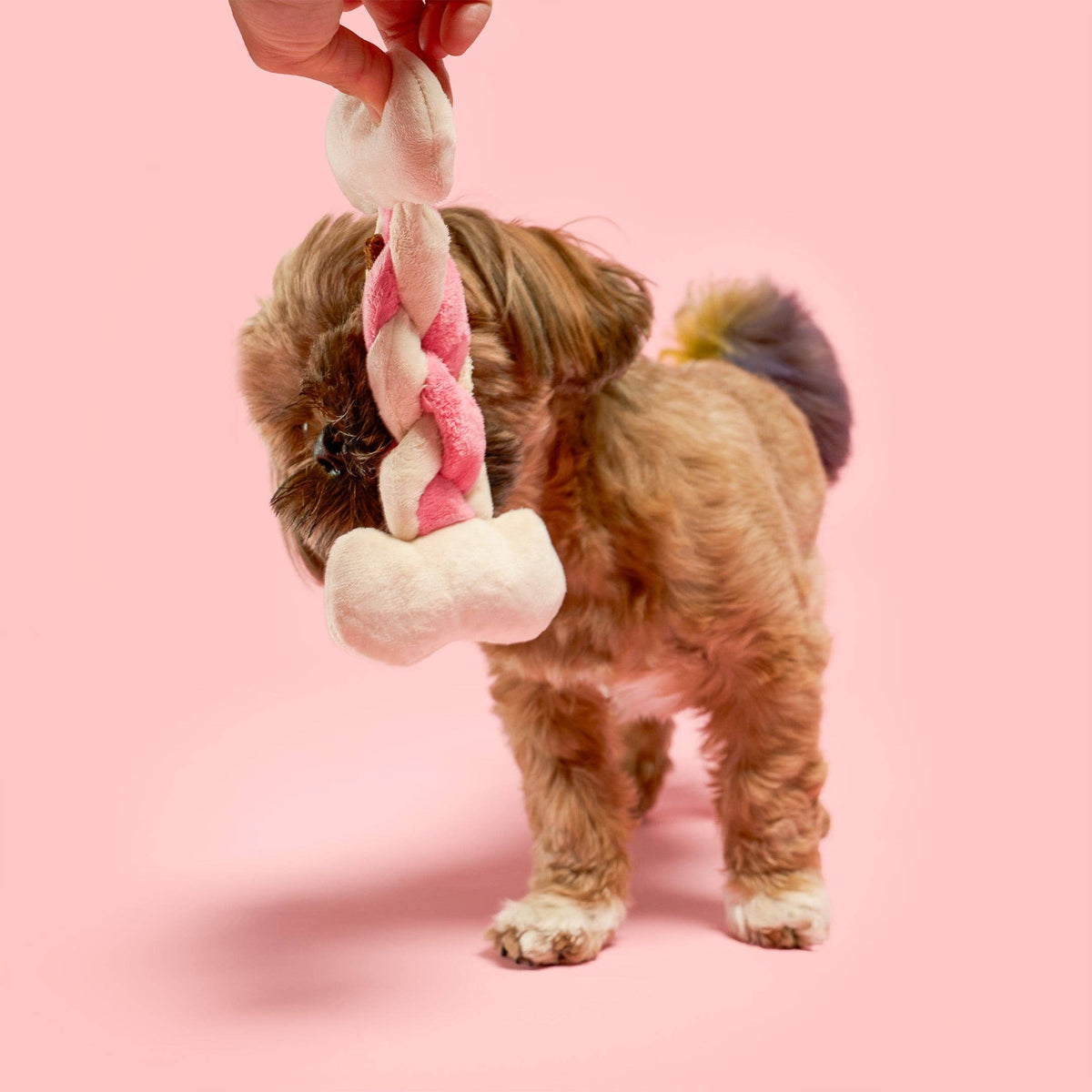 the furryfolks - Knochen Appétit Nasenarbeits-Spielzeug - OSSO BLU