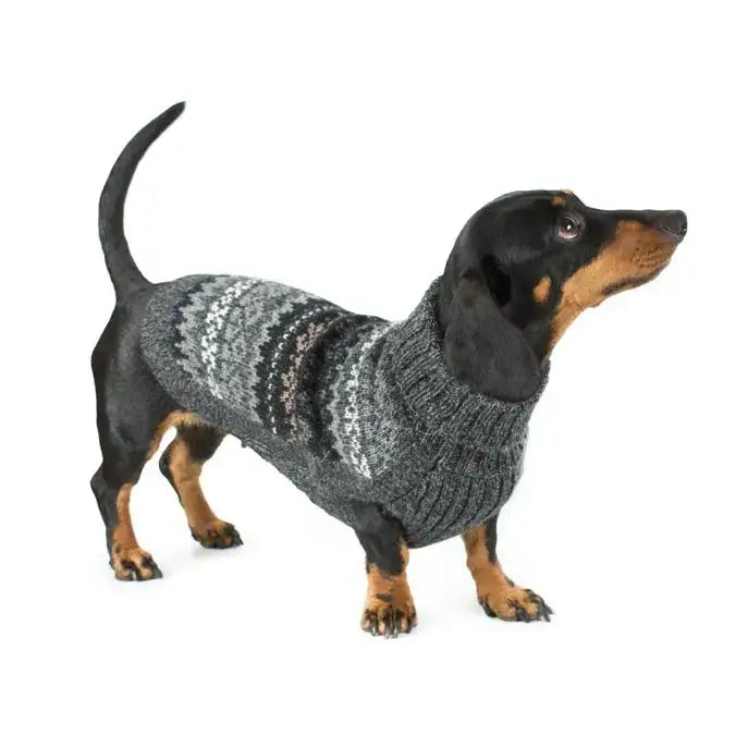 Alqo Wasi - Herbst-Medley Alpaka-Hundepullover: Charcoal / XS - OSSO BLU