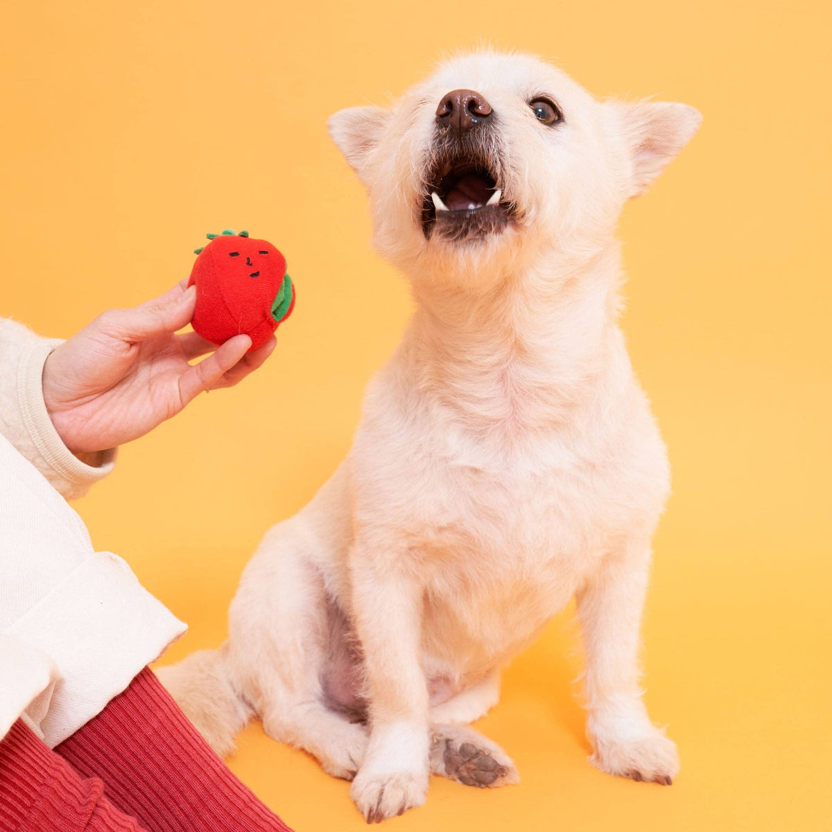 the furryfolks - Cherry Tomato Such- und Zerrspielzeug für Hunde - OSSO BLU