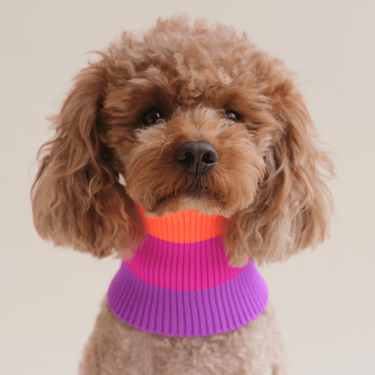 LUMIIES – Glow Loop 2.0 Hundeschal Electric Sunset