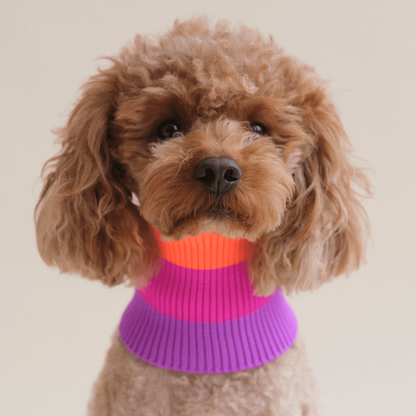 LUMIIES – Glow Loop 2.0 Hundeschal Electric Sunset