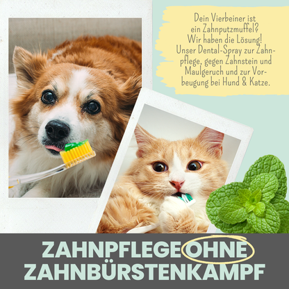 NOMS+ - Dentalspray für Hunde & Katzen – Natürliche Zahnpflege gegen Zahnstein & Mundgeruch - OSSO BLU