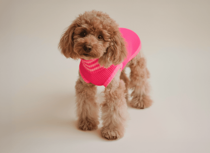 LUMIIES – Glow Jumper 2.0 Hundepullover Pink Parade