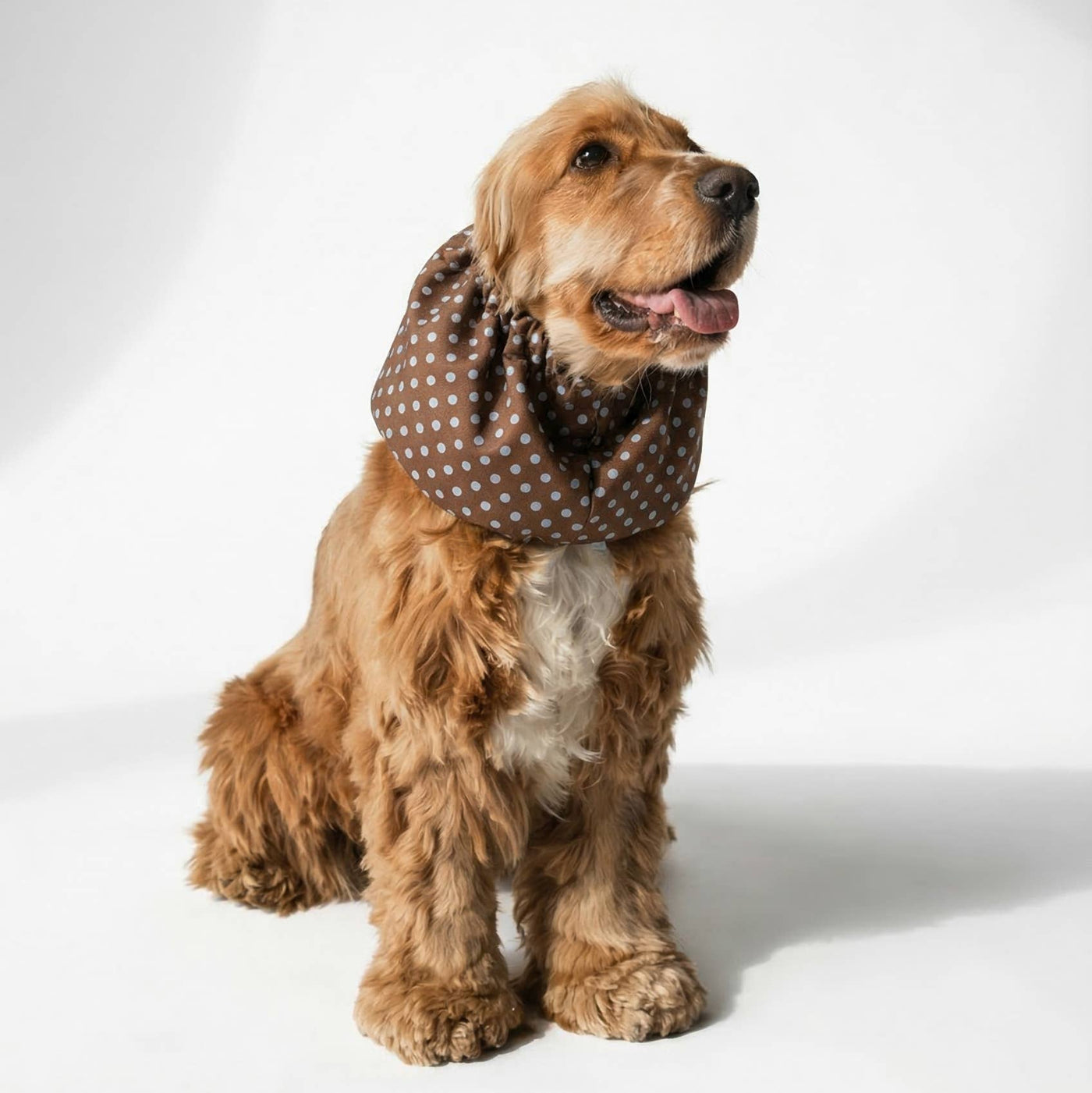 LOU & CO. - Eleganti protezioni per le orecchie per cani "Brown Dots"