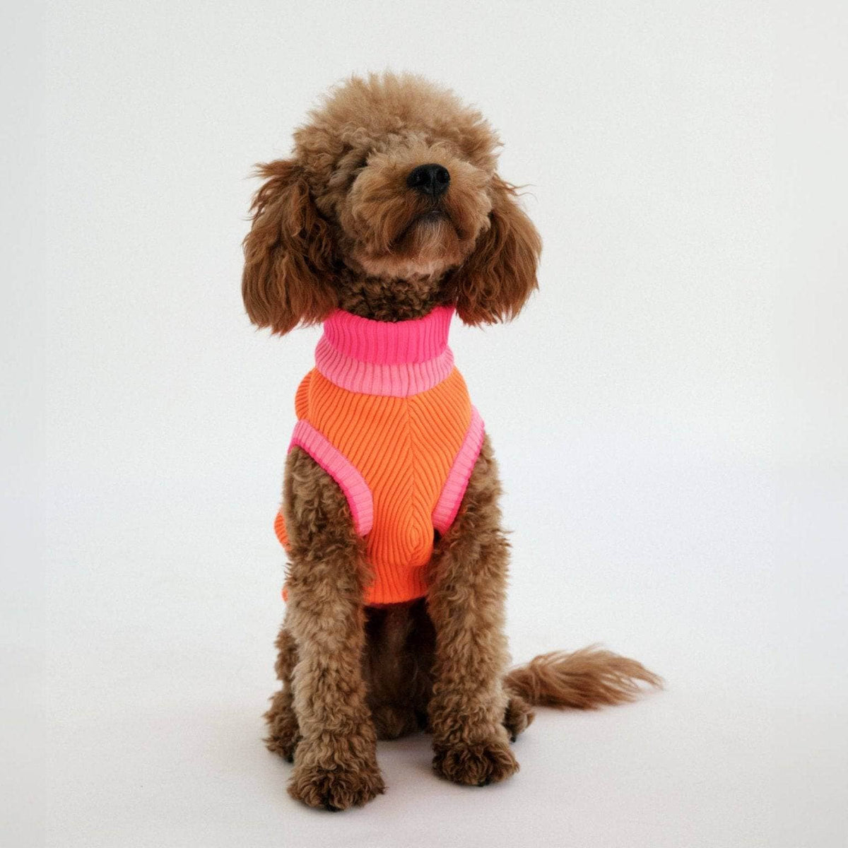 LUMIIES – Glow Jumper 2.0 Hundepullover Sunny Tangerine