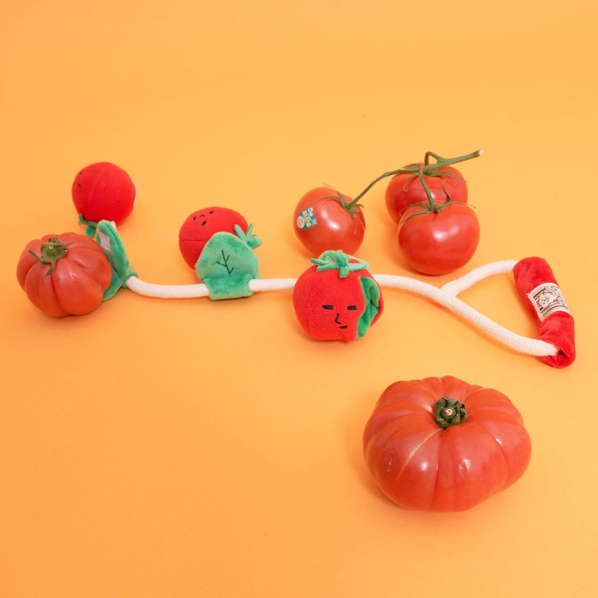 the furryfolks - Cherry Tomato Such- und Zerrspielzeug für Hunde - OSSO BLU