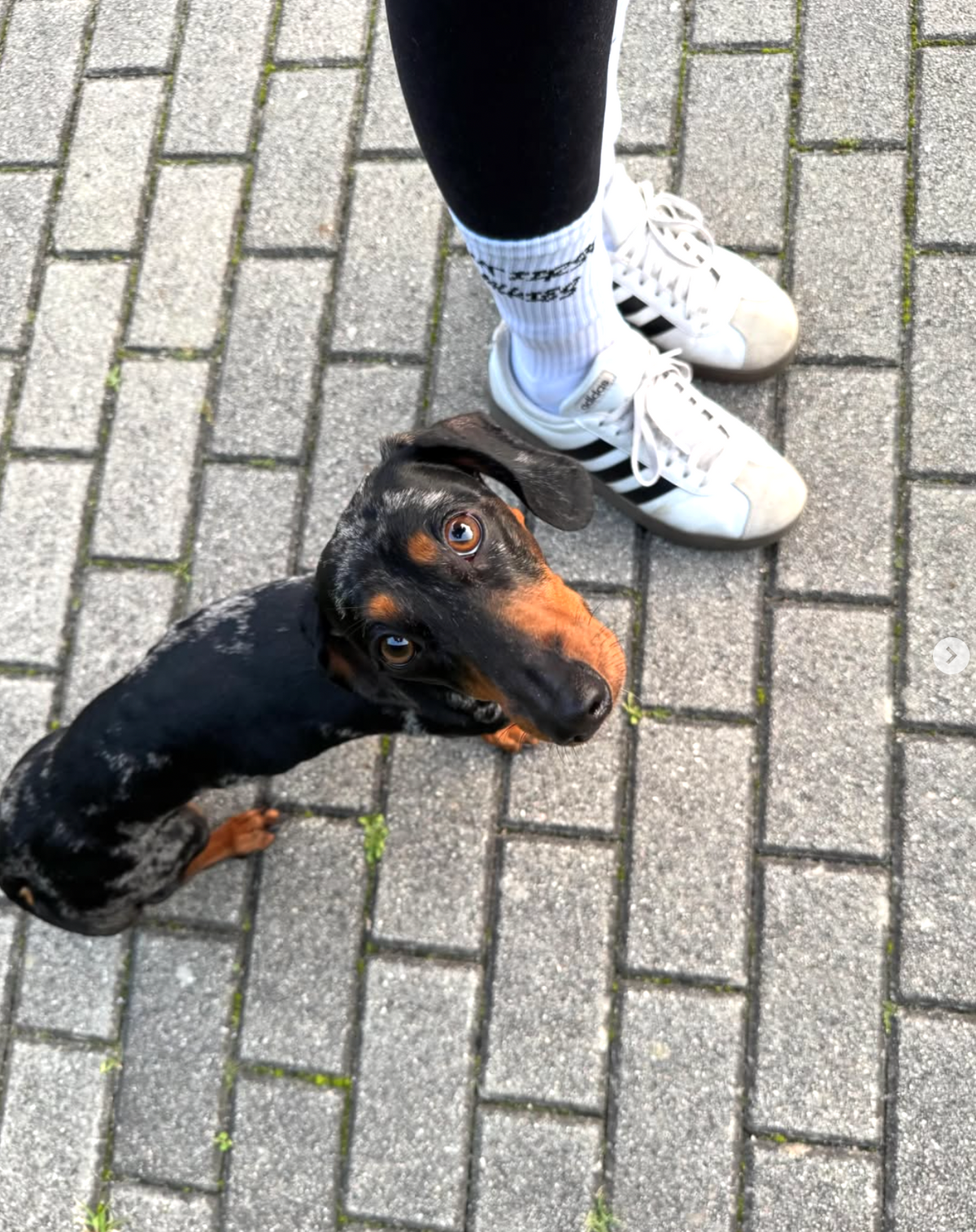 OSSO BLU – 2er-Socken-Bundle „BUT FIRST WALKIES“