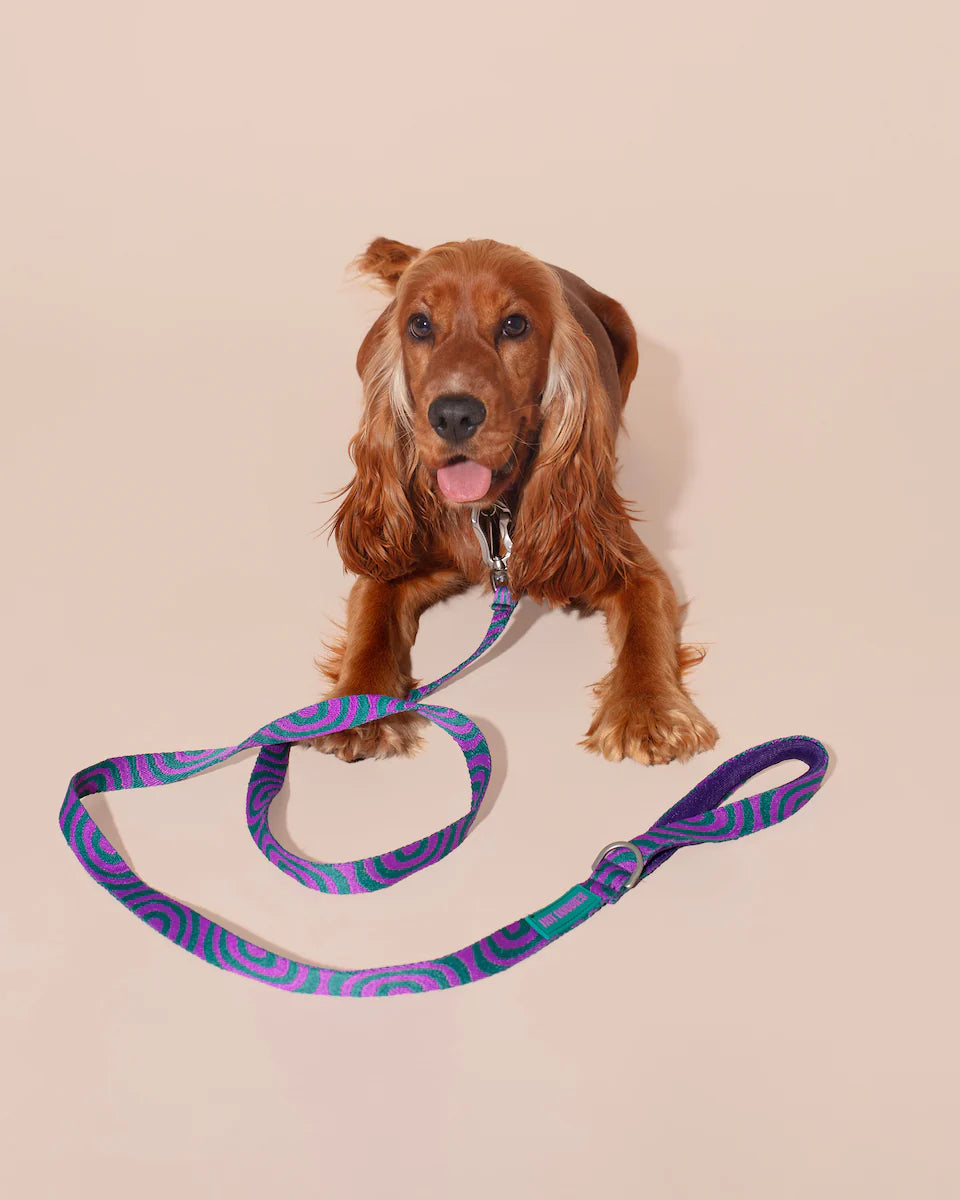 HOT DOGGIES - Leine „Lola Groove“ - OSSO BLU