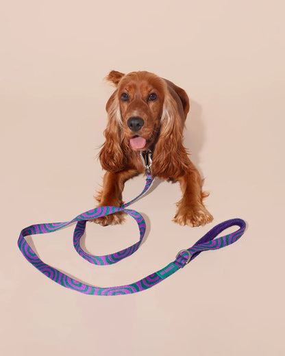 HOT DOGGIES - Leine „Lola Groove“ - OSSO BLU