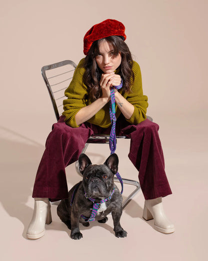 HOT DOGGIES - Leine „Lola Groove“ - OSSO BLU