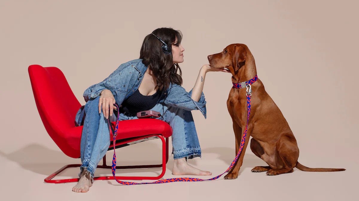 HOT DOGGIES - Leine „Rocky Electric“ - OSSO BLU