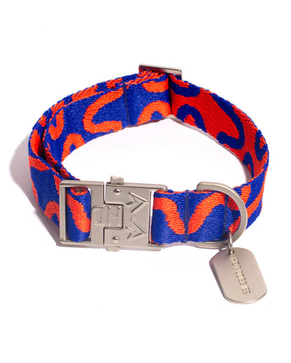 HOT DOGGIES - Halsband „Rocky Electric“ - OSSO BLU