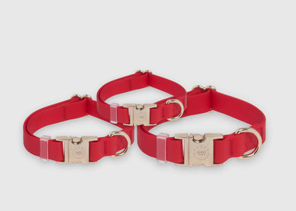 SUNNY TAILS - Wasserdichtes Hundehalsband - Cherry Red - OSSO BLU
