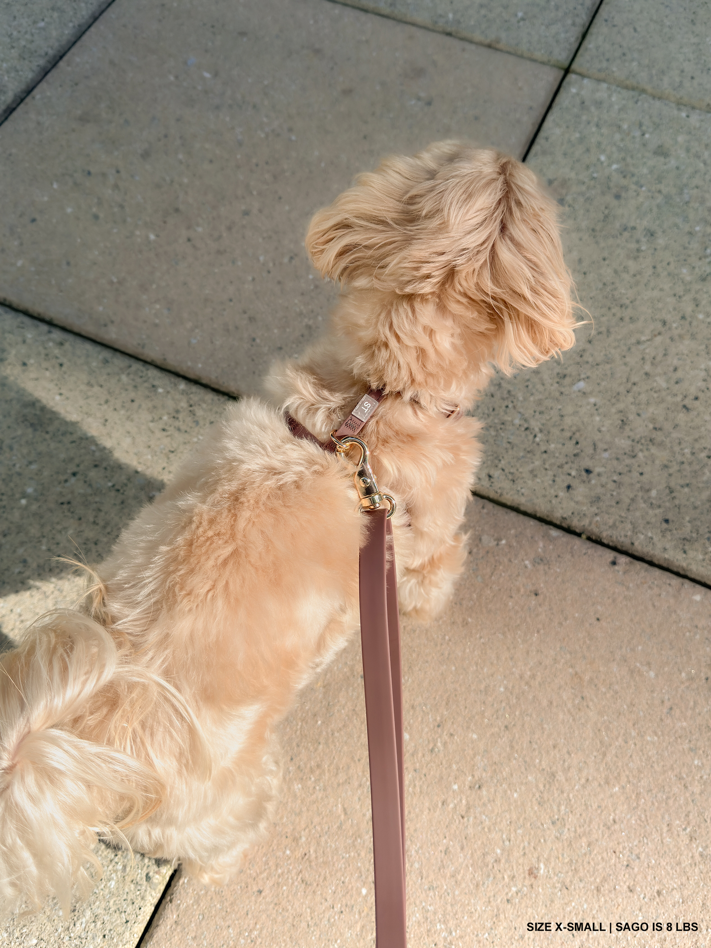 SUNNY TAILS - Wasserfestes Hundegeschirr - Espresso Brown - OSSO BLU