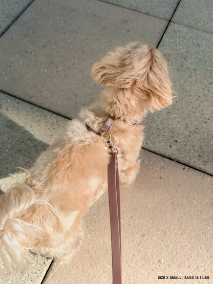 SUNNY TAILS - Wasserfestes Hundegeschirr - Espresso Brown - OSSO BLU