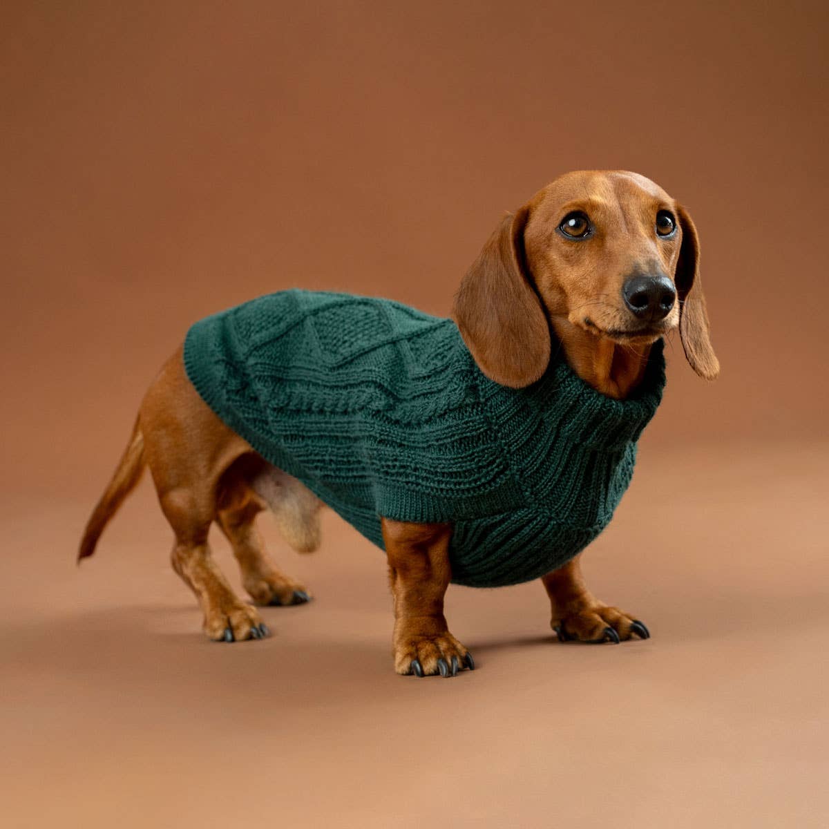 Alqo Wasi - Alqo Wasi Aran-Strick Alpaka-Hundepullover: XS / Lavender - OSSO BLU