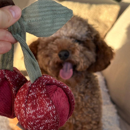 LAMBWOLF COLLECTIVE - CHERRY POP Bereichungsspielzeug für Hunde - OSSO BLU