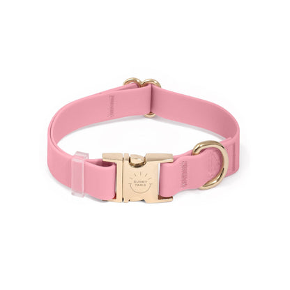SUNNY TAILS - Wasserdichtes Hundehalsband - Perfect Pink - OSSO BLU