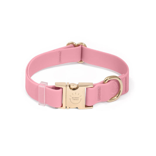 SUNNY TAILS - Wasserdichtes Hundehalsband - Perfect Pink - OSSO BLU