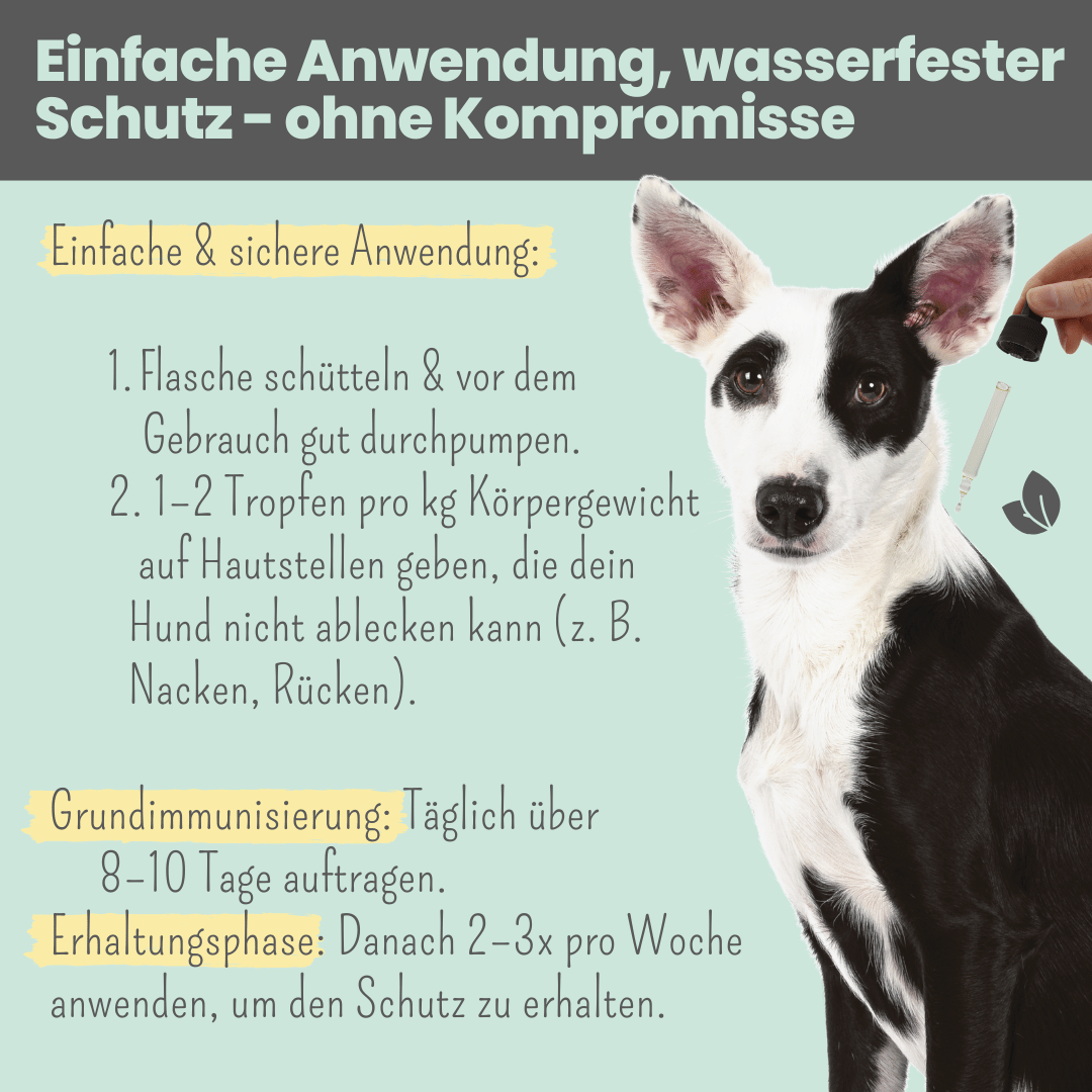 NOMS+ - Wasserfestes Spot-on für Hunde gegen Zecken, Flöhe, Milben & Mücken - OSSO BLU