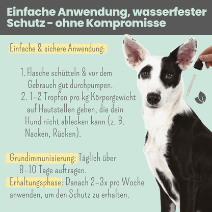 NOMS+ - Wasserfestes Spot-on für Hunde gegen Zecken, Flöhe, Milben & Mücken - OSSO BLU