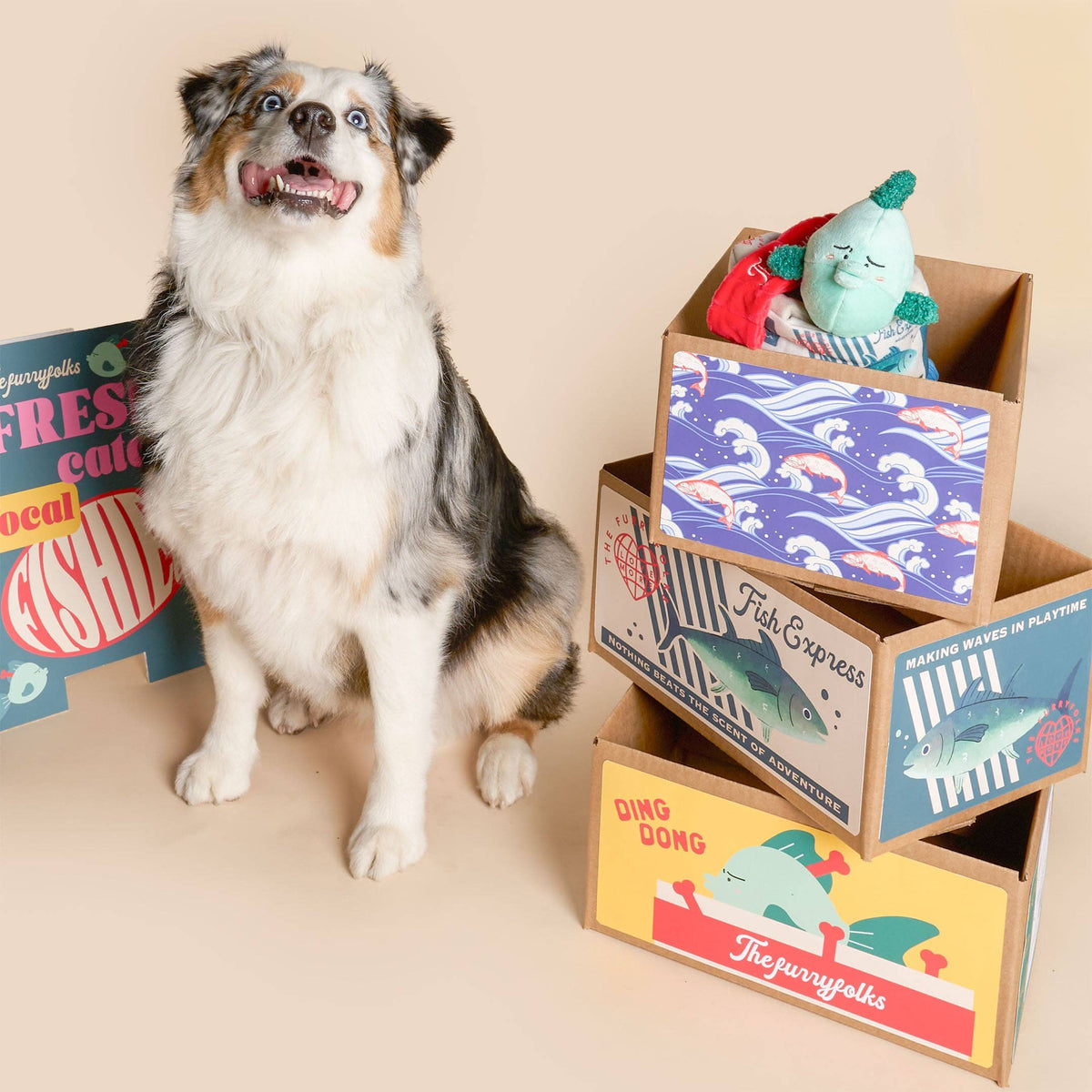 the furryfolks - Fisch Express Nasenarbeit Spielzeug - OSSO BLU