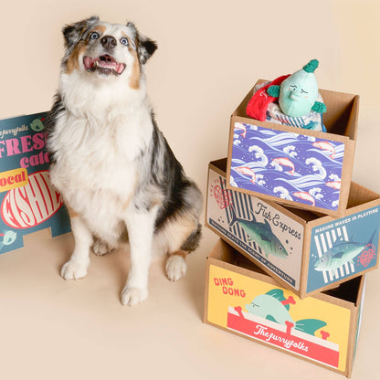 the furryfolks - Fisch Express Nasenarbeit Spielzeug - OSSO BLU