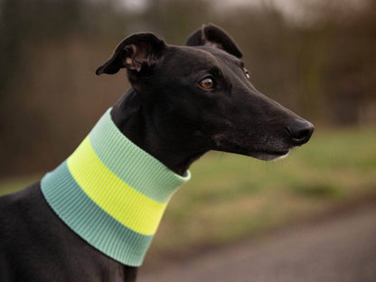 LUMIIES – Glow Loop 2.0 Hundeschal Neon Matcha
