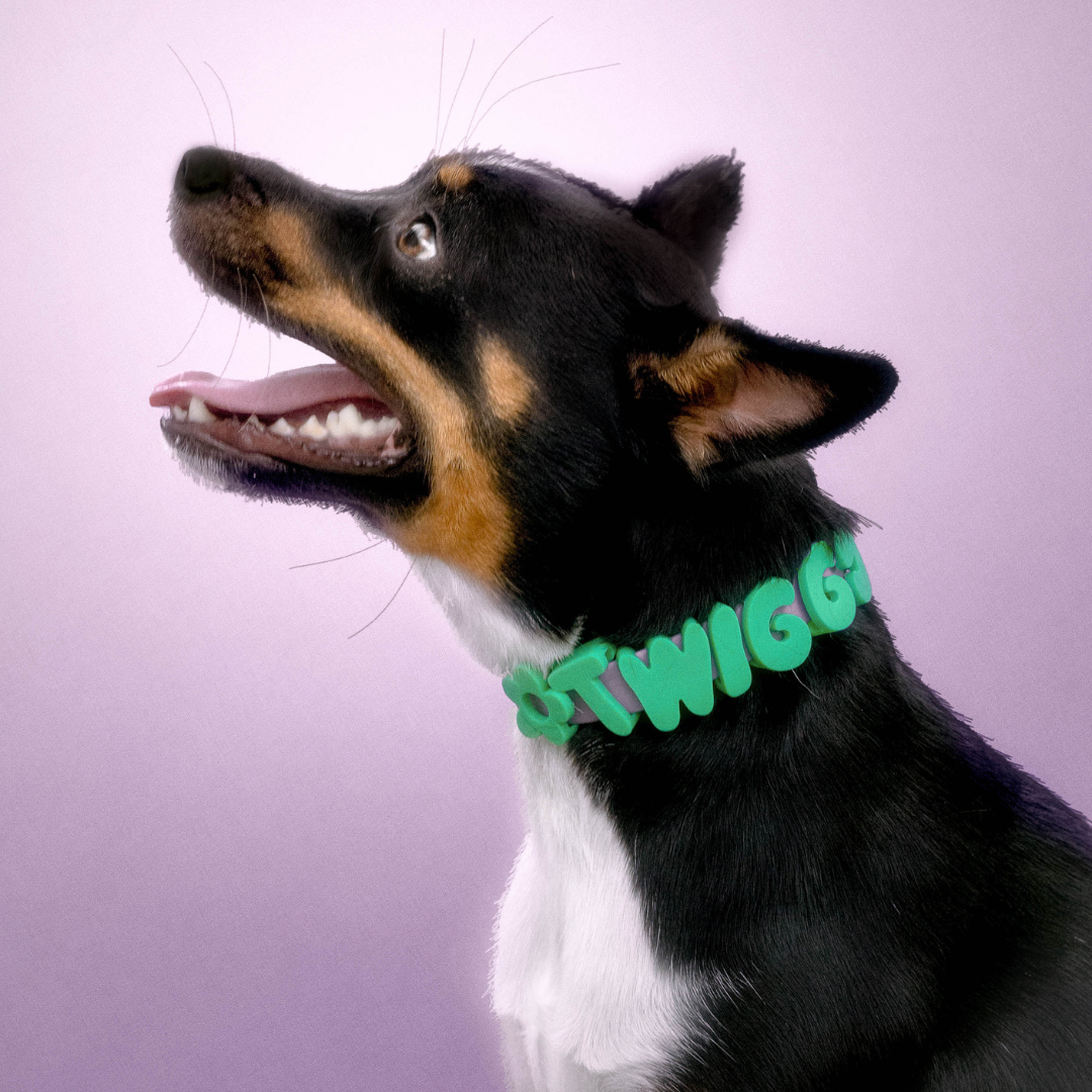 Springland Pets - Wasserdichtes & Verstellbares Hundehalsband (6er Pack) - OSSO BLU