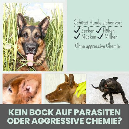 NOMS+ - Zeckenspray für Hunde – Natürlicher Schutz gegen Zecken, Flöhe, Milben & Mücken - OSSO BLU