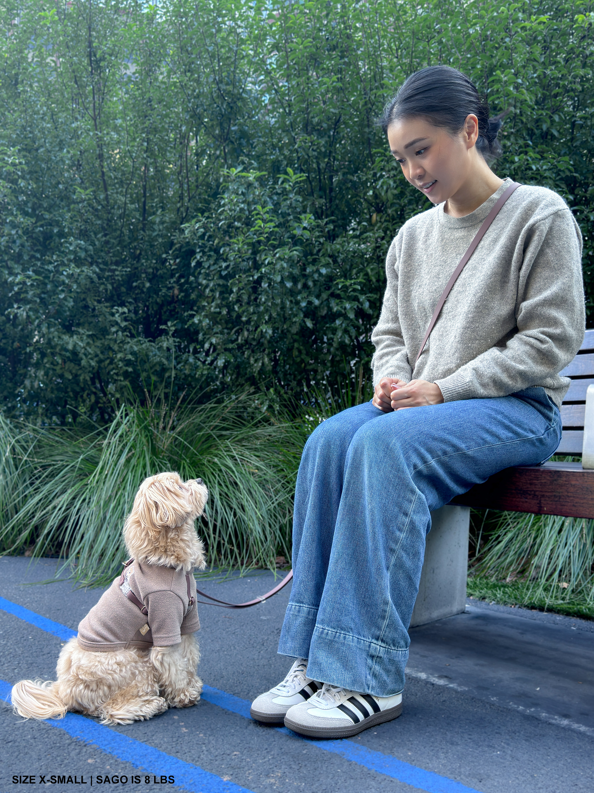 SUNNY TAILS - Wasserdichtes Hundegeschirr - Espresso Brown - OSSO BLU