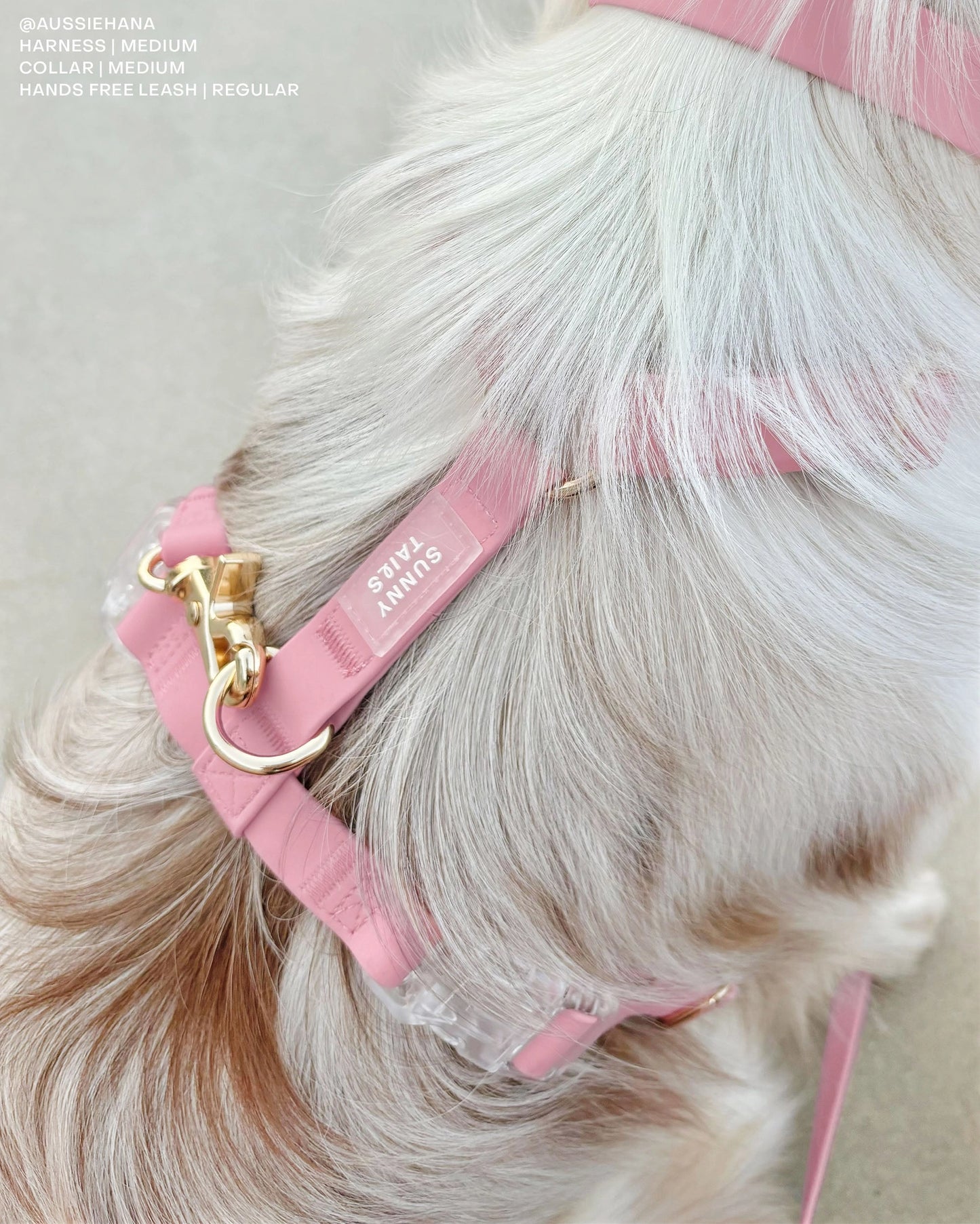 SUNNY TAILS - Wasserdichtes Hundegeschirr - Perfect Pink - OSSO BLU