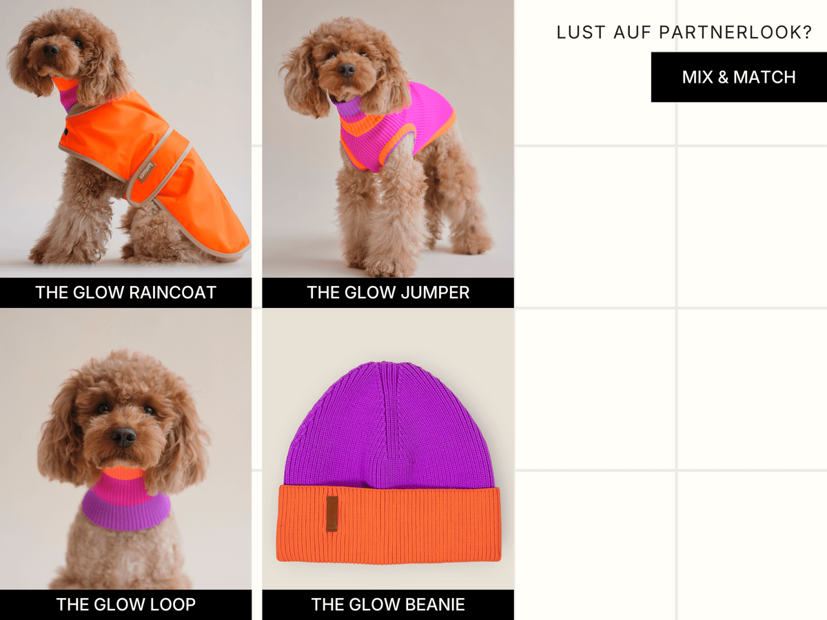 LUMIIES – Glow Loop 2.0 Hundeschal Electric Sunset