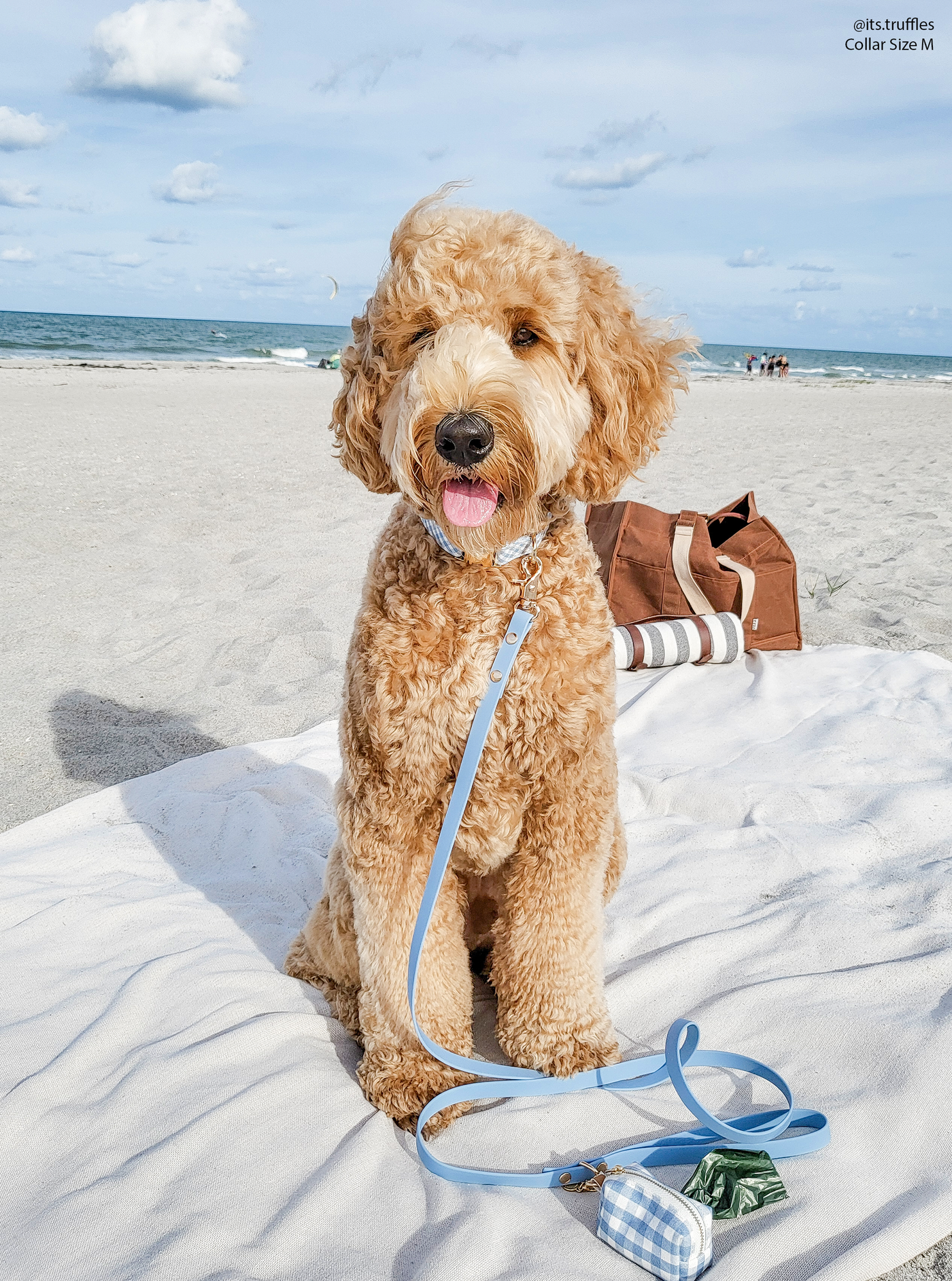 SUNNY TAILS - Guinzaglio impermeabile per cani - Blu Malibu