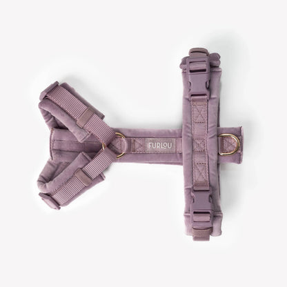 FURLOU – Samt Hundegeschirr Lilac