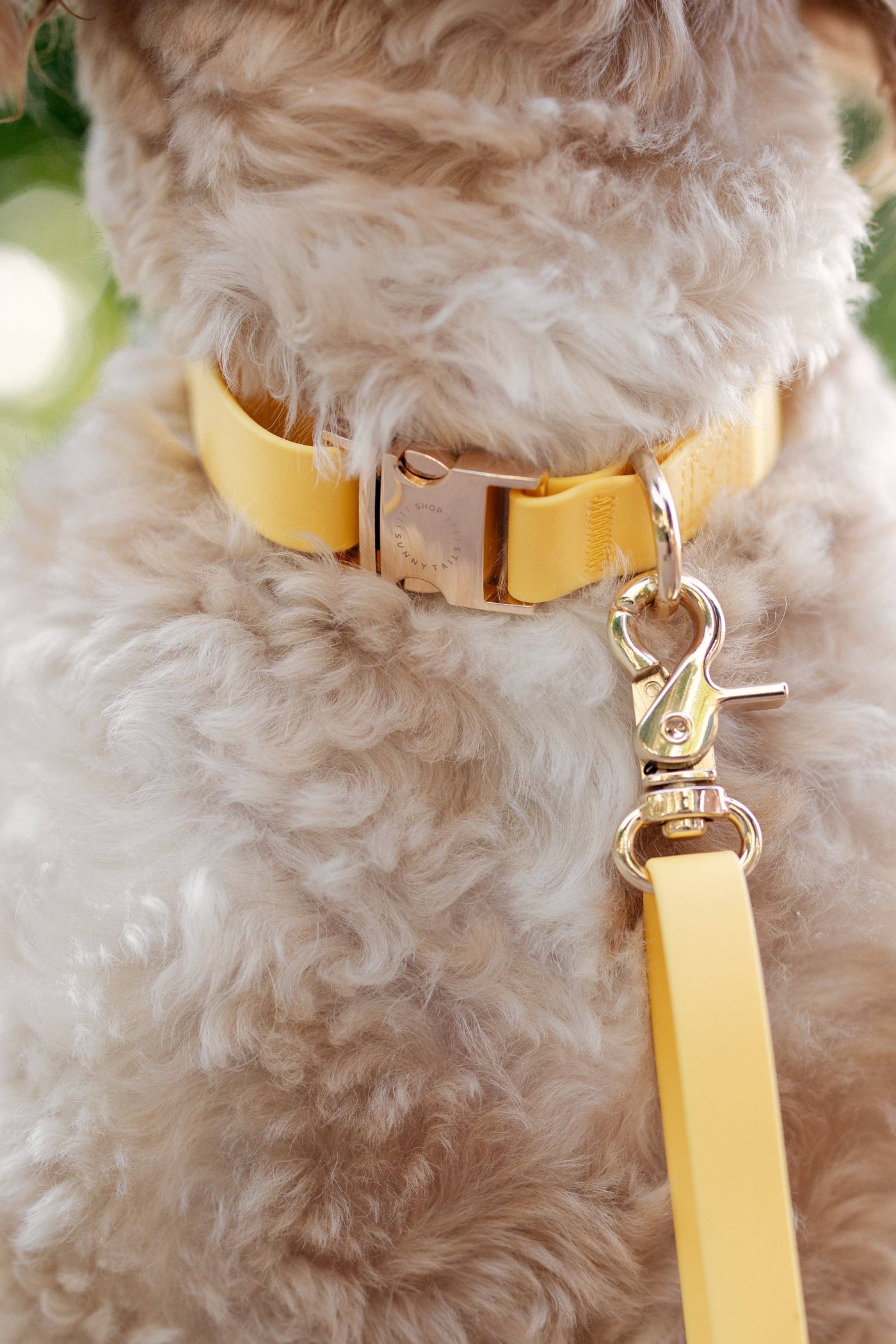 SUNNY TAILS - Collare per cani impermeabile - Giallo Dente di Leone