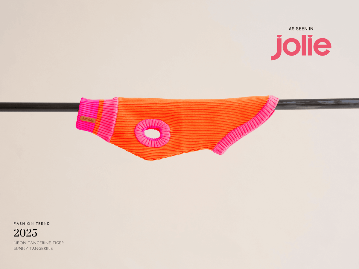 LUMIIES – Glow Jumper 2.0 Hundepullover Sunny Tangerine