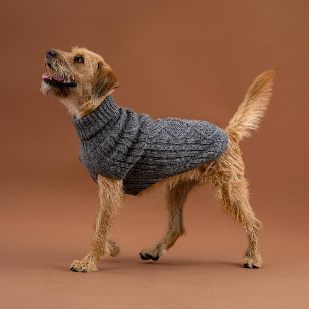 Alqo Wasi - Alqo Wasi Aran-Strick Alpaka-Hundepullover: XS / Grey - OSSO BLU