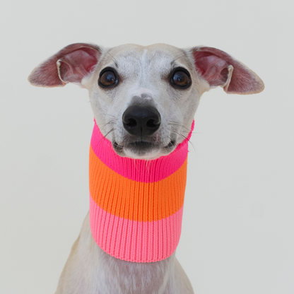 LUMIIES – Glow Loop 2.0 Hundeschal Sunny Tangerine